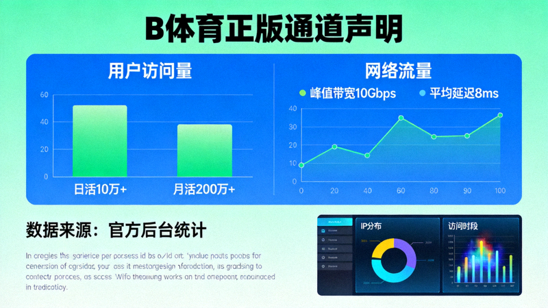 B体育正版通道声明配图 - 显示数据图表与网络流量分析界面
